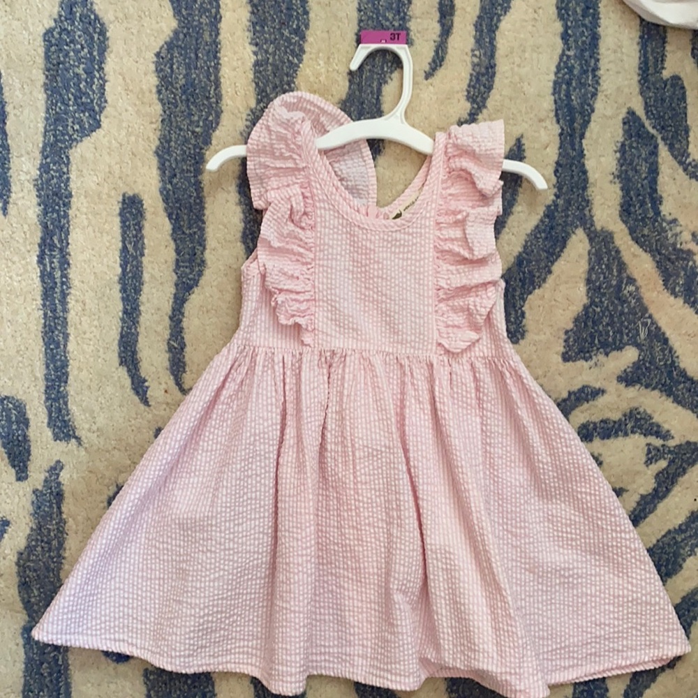 Monica and Andy 3t dress